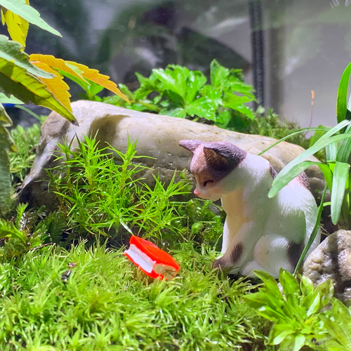 203 苔アート 苔テラリウム ねこ 猫 フィギュア 送料込み テラリウム