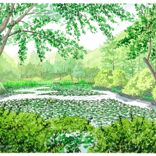 スイレンの咲く池」透明水彩画 原画 風景画 額縁付 F4サイズ 絵画 Oni