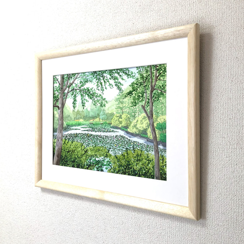 スイレンの咲く池」透明水彩画 原画 風景画 額縁付 F4サイズ スイレンの咲く池」透明水彩画 原画 風景画 額縁付 F4サイズ