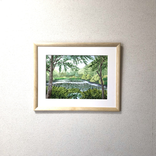 スイレンの咲く池」透明水彩画 原画 風景画 額縁付 F4サイズ スイレンの咲く池」透明水彩画 原画 風景画 額縁付 F4サイズ