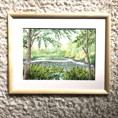 スイレンの咲く池」透明水彩画 原画 風景画 額縁付 F4サイズ スイレンの咲く池」透明水彩画 原画 風景画 額縁付 F4サイズ