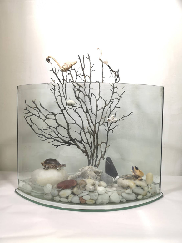 ［生態］魚缸  展示架 盆栽架  盆栽擺飾  植栽器皿 第1張的照片