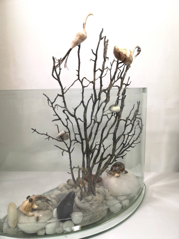 ［生態］魚缸  展示架 盆栽架  盆栽擺飾  植栽器皿 第4張的照片