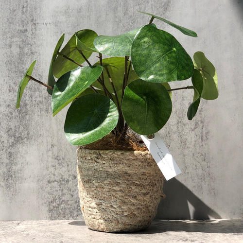 専用＊ミモザ＆オリーブ 大人可愛いフェイクスワッグ