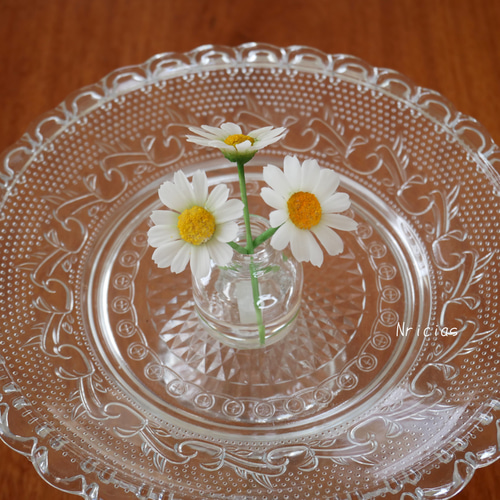 クレイフラワー　マーガレット5本セット 再販＞枯れないマーガレット 5本セット Grand ✿クレイフラワーNO.M5