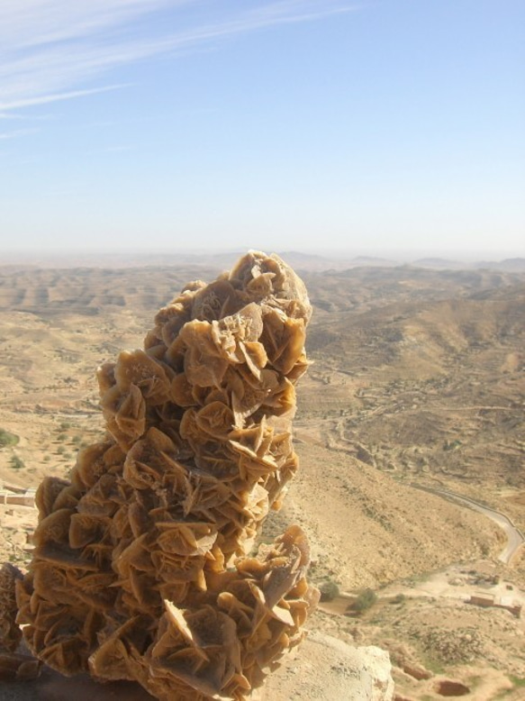 豐滿絲絨小包（沙漠花3號） 第11張的照片