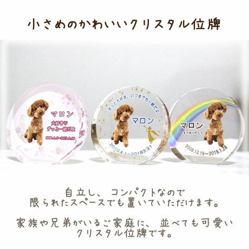 ペット位牌 】 クリスタル位牌 サークルスタンド 自立型 ペット位牌 】 クリスタル位牌 サークルスタンド 自立型