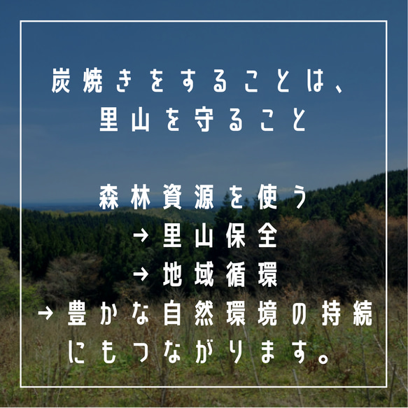 環境に優しい手提げ袋　紙袋　クラフト 6枚目の画像