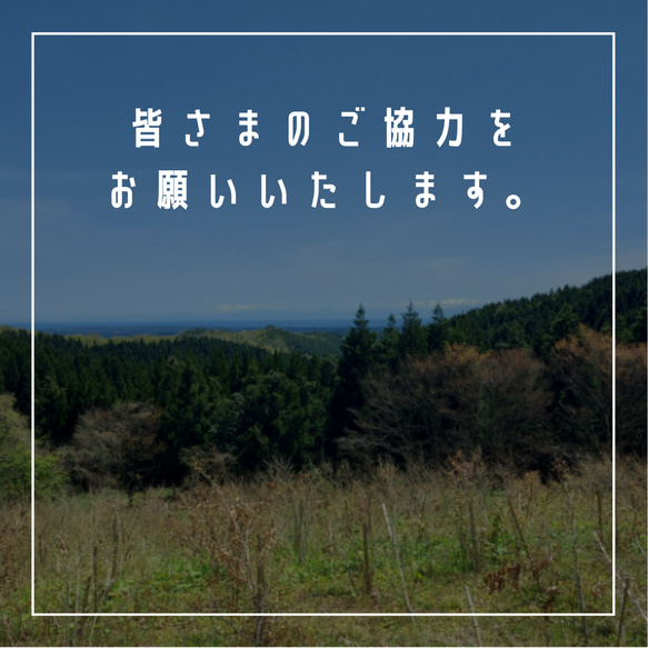 環境に優しい手提げ袋　紙袋　クラフト 7枚目の画像