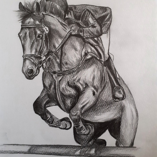 鉛筆画 障害馬術 絵画 makochin 通販 15789951｜Creema(クリーマ)