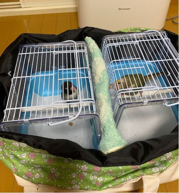 秋・冬用 インコ 通院バッグ（鳥・小動物用）オーダーメイド  帆布 キャリーバッグ ※ショルダー、肩パッド付 10枚目の画像