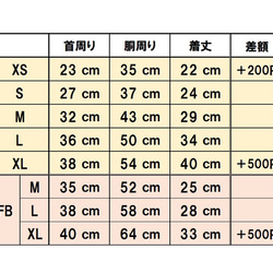  第17張的照片