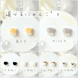 選べる猫ちゃん's】猫 ネコ 黒 白 ミケ サバトラ 茶トラ ポイン