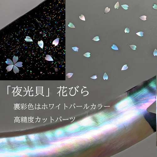 夜光貝」螺鈿細工用の菱形／カット貝アクセサリーパーツ（5