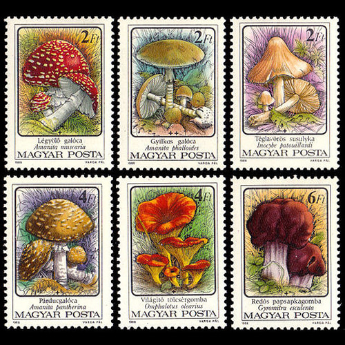 きのこ ハンガリー 1986年 外国切手6種 未使用【キノコ 古切手