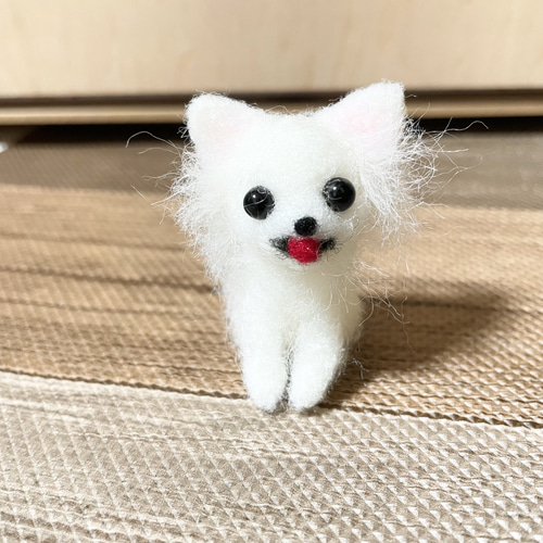 白チワワ 羊毛フェルト 羊毛フェルト モカ＆ラテ 通販 15791760