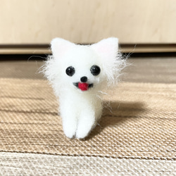 白チワワ 羊毛フェルト 羊毛フェルト モカ＆ラテ 通販 15791760