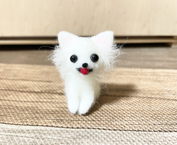 白チワワ 羊毛フェルト 羊毛フェルト モカ＆ラテ 通販 15791760