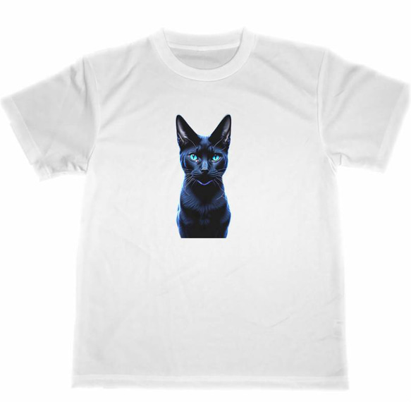 黒猫　ドライ　Tシャツ　アニマル　クロネコ　猫　イラスト　アート　グッズ 1枚目の画像