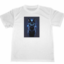 黒猫 ドライ Tシャツ ネコ アニマル グッズ イラスト アート T