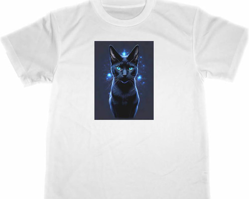 黒猫 アニマル フォトデザインプリントTシャツ A-3855 黒猫 アニマル フォトデザインプリントTシャツ A-3855 - メルカリ