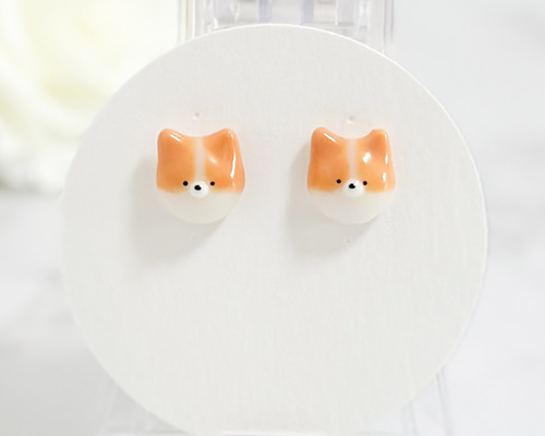 aaaccdca9263a2139c60a6e9e1c034