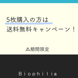 ５枚購入の方は送料無料！（期間限定）FUJISANの小皿 1枚目の画像