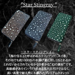 幻の素材 スタースティングレイ 長財布 エイ革 一枚革 ガルーシャ スティングレイ カード１５枚 大容量 グリーン 緑 8枚目の画像