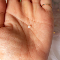 再販 3-3.5mm 片穴 薄ピンク １０粒 ベビーパールのアコヤ真珠 [2202P320] 4枚目の画像