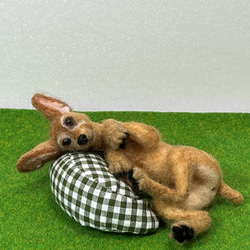 フラットコーテッドレトリバー 黒 羊毛フェルト Wool Whisper 通販