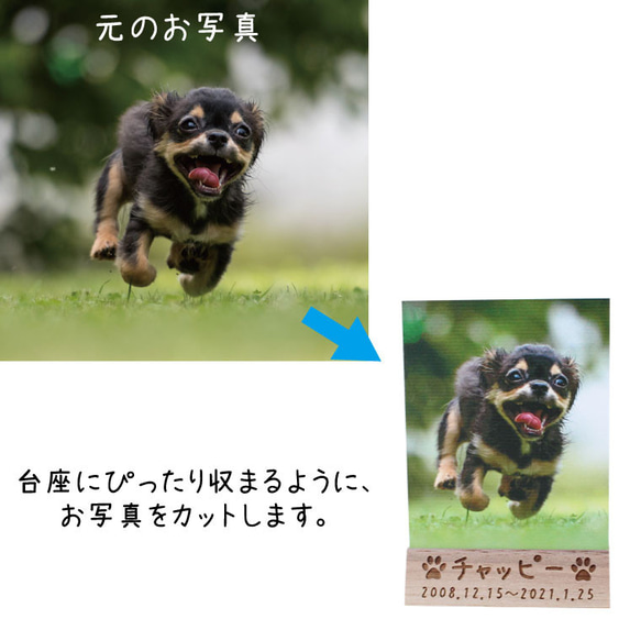 【ペット位牌】木製台座付き　アクリルパネル　フルカラー 写真プリント 名入れ オリジナル 3枚目の画像