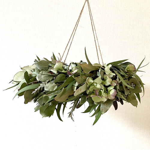 ユーカリのフライングリース　　　　　2WAY ユーカリのフライングリース 2WAY