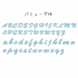 再々再販【人気のヌビ生地】入園準備/韓国風/大容量/おむつポーチ/ベビーカー/ペットカート/犬/バックインバッグ/旅行 12枚目の画像