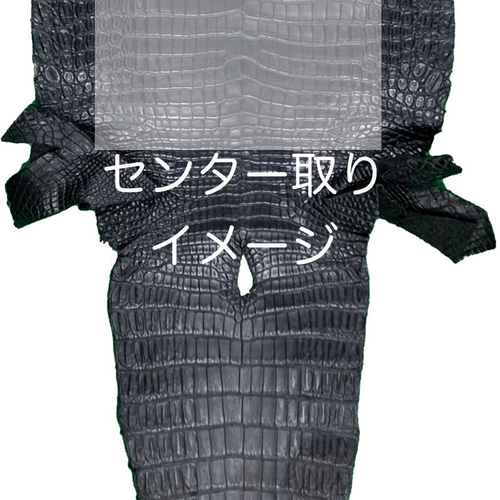 日本製 厳選 ポロサス クロコダイル センター1匹取り 無双仕立