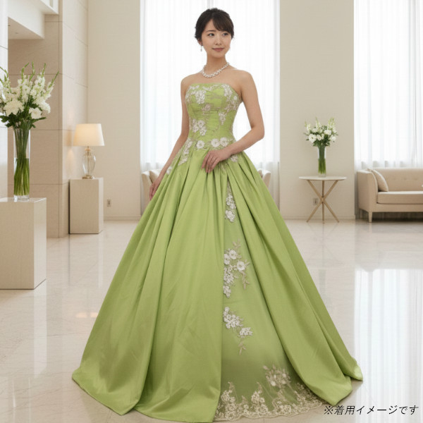 AIMER 13号 袖ありドレス 緑 AIMER 総レースミディ丈スモーキーグリーンドレス (S) をレンタル