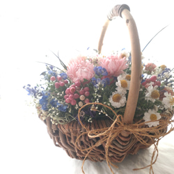 春の花籠シルバーデイジー 2枚目の画像
