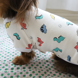 恐竜柄タンクトップ・Tシャツ　韓国生地 6枚目の画像