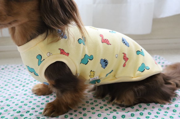 恐竜柄タンクトップ・Tシャツ　韓国生地 8枚目の画像