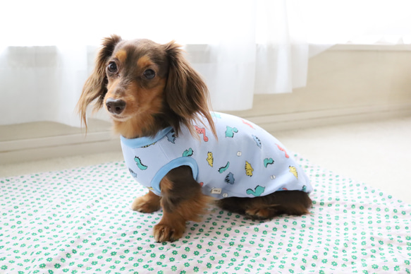 恐竜柄タンクトップ・Tシャツ　韓国生地 9枚目の画像