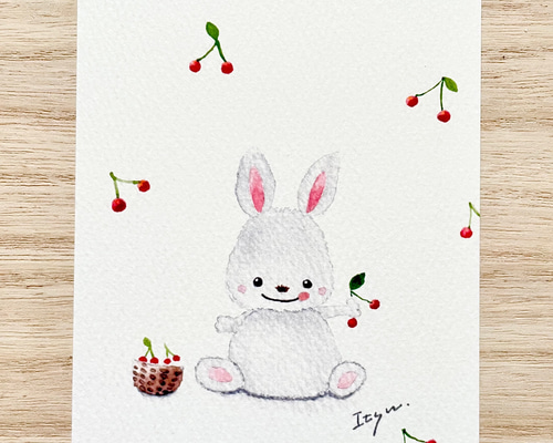 透明水彩画 3枚セット「さくらんぼとうさぎちゃん」イラスト 透明水彩画 3枚セット「さくらんぼとうさぎちゃん」イラスト