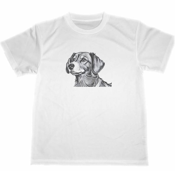 ダックスフンド ドライ Tシャツ 3 ダックスフント イヌ グッズ