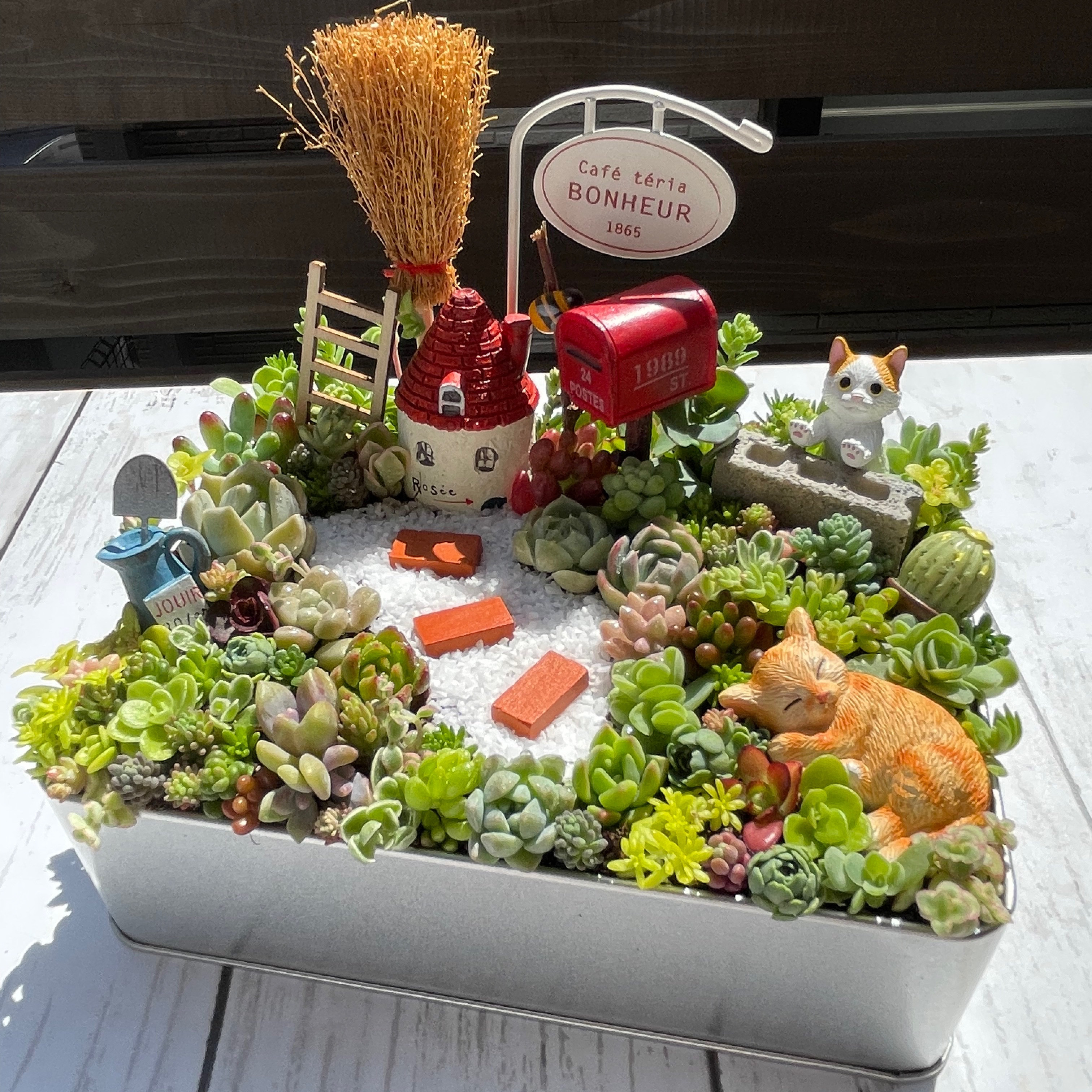 プレゼントにも〜受注制作シルバー缶 にゃんにゃんガーデン箱庭風多肉植物寄せ植え