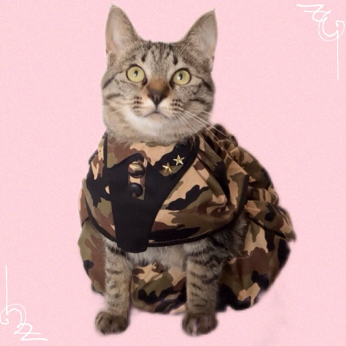 猫 猫柄 迷彩 パーカー フーディ カモフラージュ カモフラ  ユニーク 個性的 ねこ ネコ ファッション 猫 猫柄 迷彩 パーカー フーディ カモフラージュ カモフラ