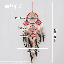  第2張的照片