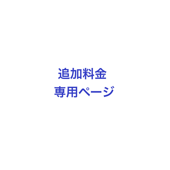 シャンティ様専用　追加料金 1枚目の画像