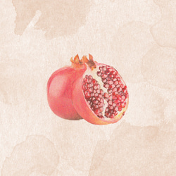 人気　再販　妊婦が描いたザクロ絵　妊活　柘榴　ざくろ　子宝　イラスト　色鉛筆　ピンク　オレンジ　フルーツ 3枚目の画像