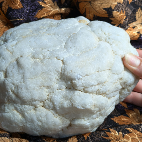 ジオード水晶？ 水晶 ジオード | 原石 | Crystals by Purely