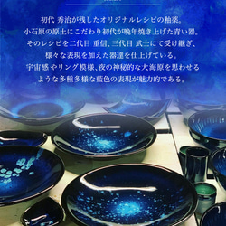 小石原燒 小石原燒 藍釉鐵釉掛葉盤 大周山窯陶器 shuzan-024 第10張的照片