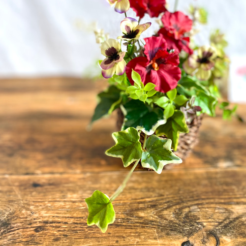 パンジーとテイジーのバスケットアレンジ　35cm×30cm フラワーアレンジ パンジーとテイジーのバスケットアレンジ 35cm×30cm フラワーアレンジ