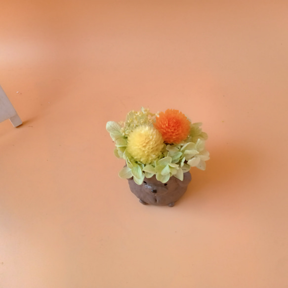 【chekoマル様専用】トイプードルのナチュラルアレンジ 3枚目の画像